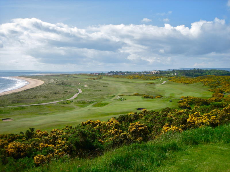 11thChampionshipCourse - Copy