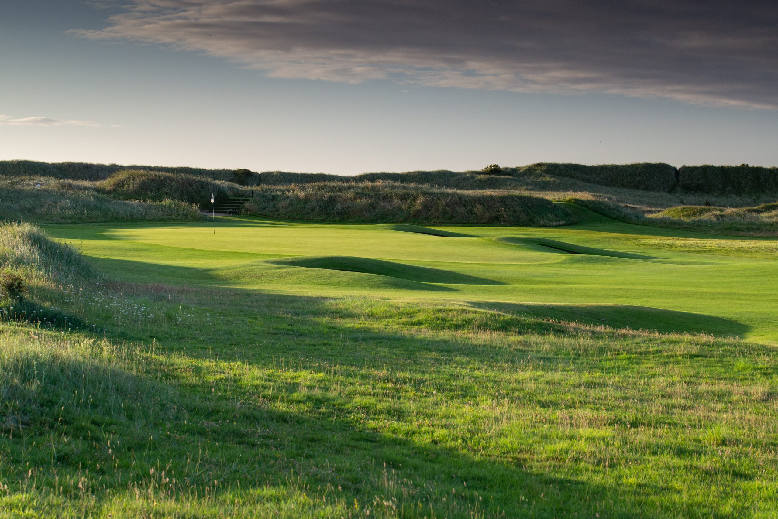 County Louth 2020 July 11 green front left 20172