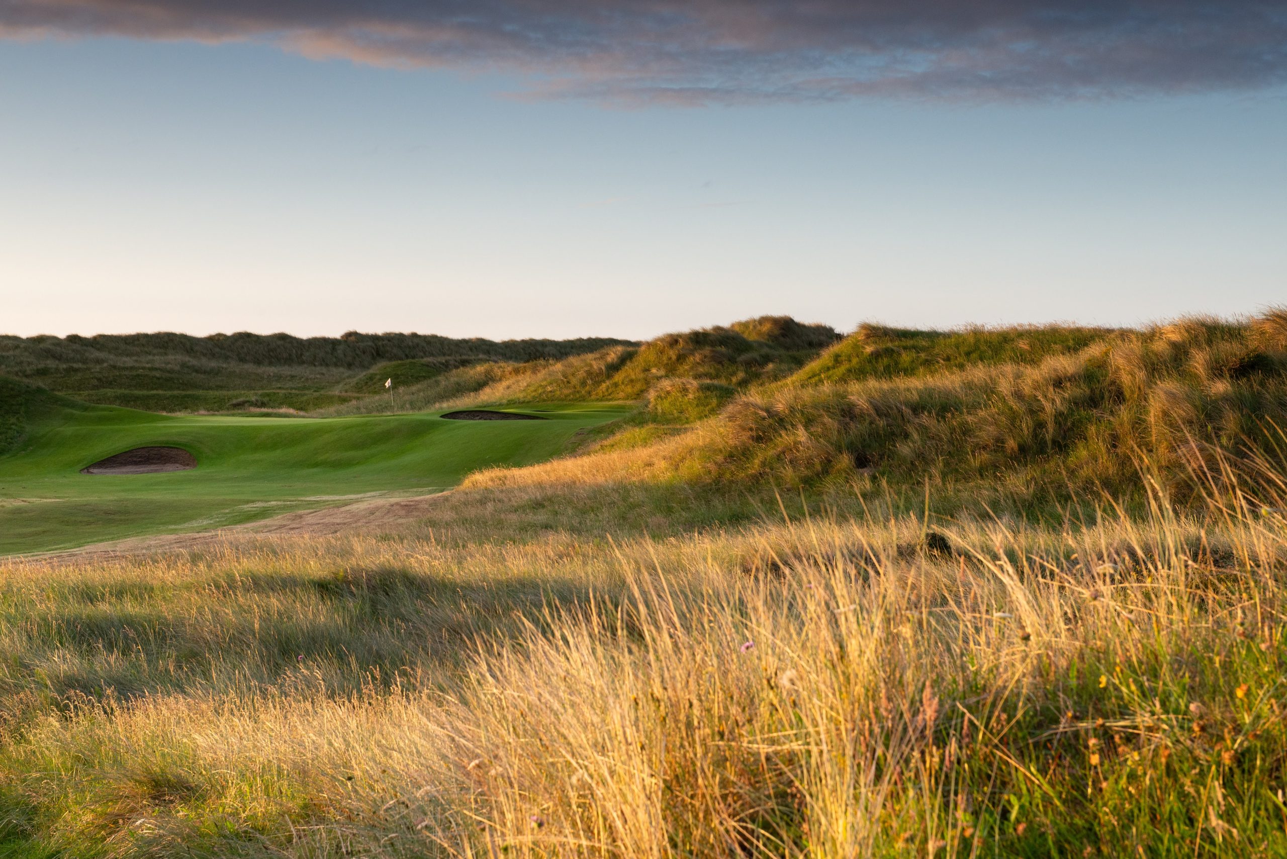 County Louth 2020 July 15 green approach 1944-2